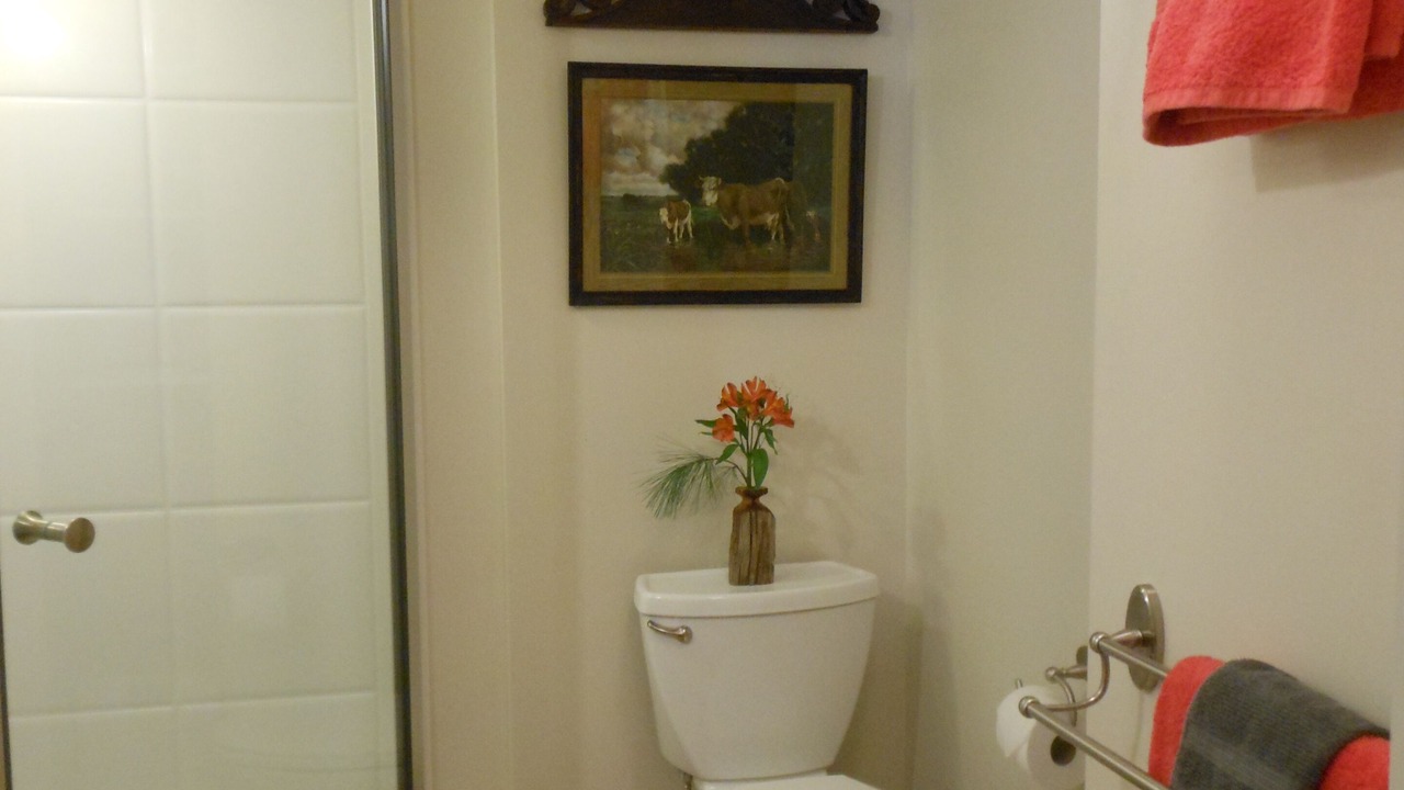 Photo of Bathroom in Red Hook