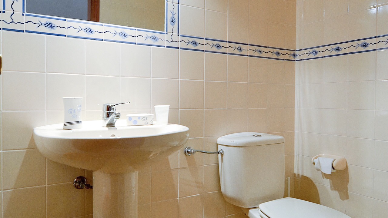 Photo of Bathroom in Magoito