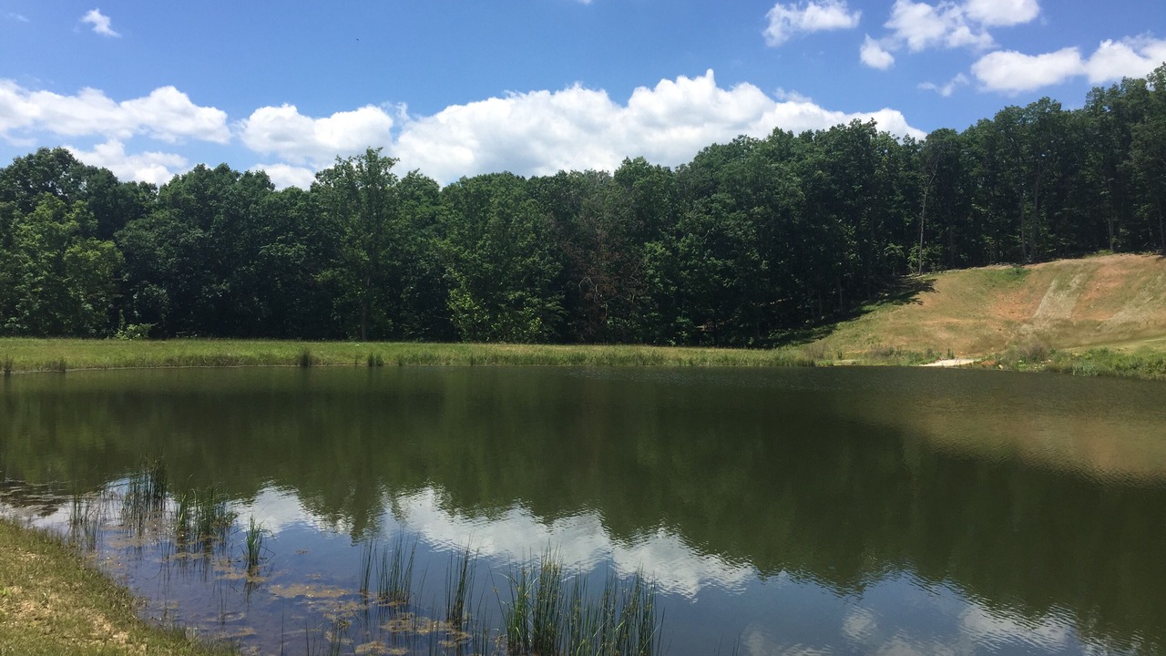 Photo of Outdoor in Luray