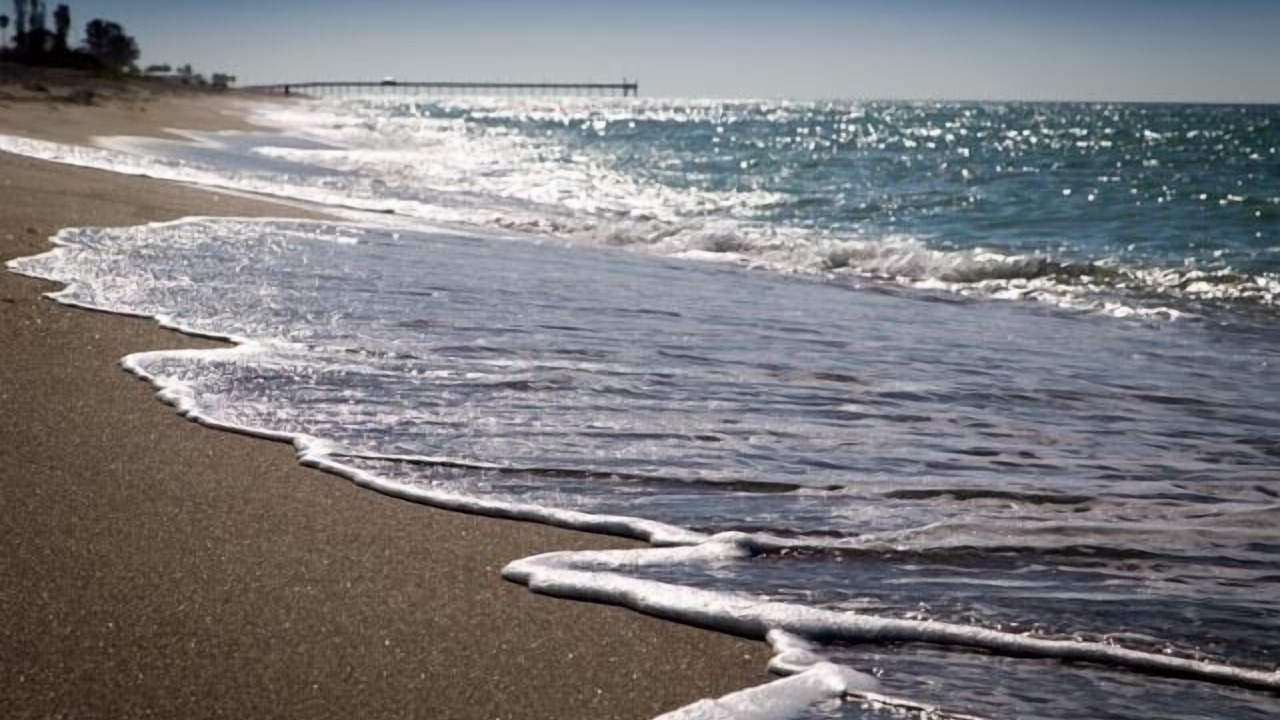 Photo of Others in Golden Beach