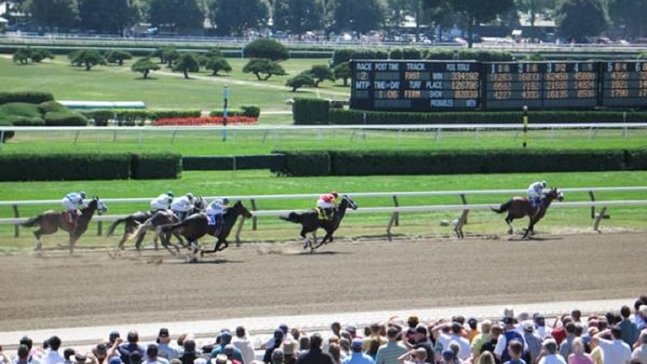 Photo of Others in Saratoga Springs
