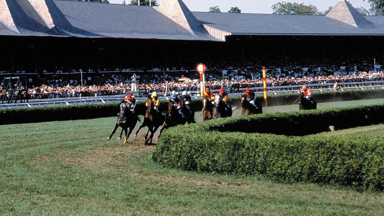 Photo of Others in Saratoga Springs