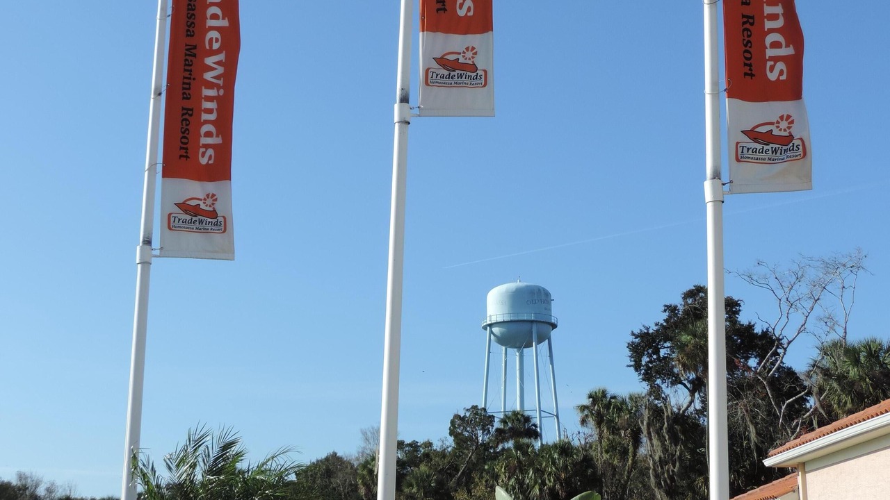 Photo of Others in Homosassa
