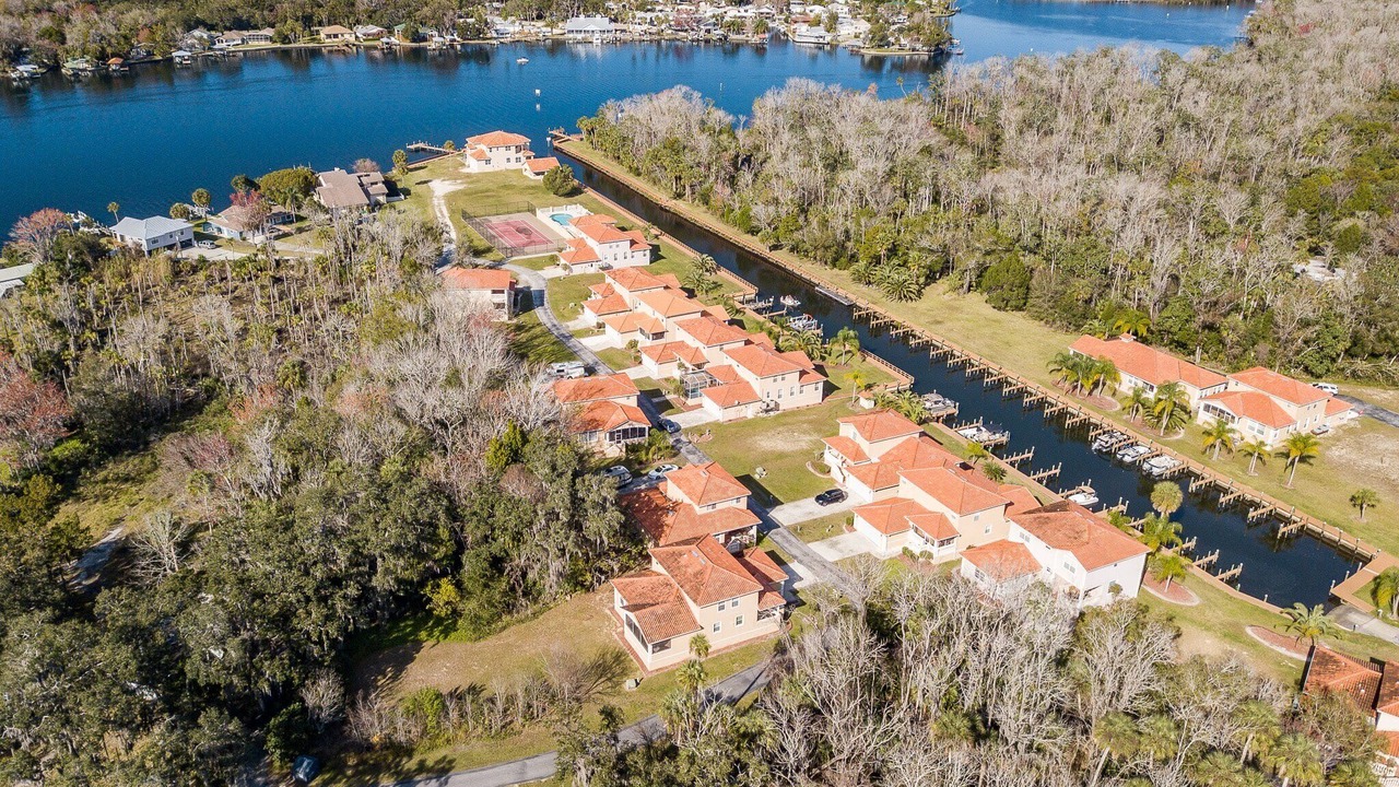Photo of Others in Homosassa
