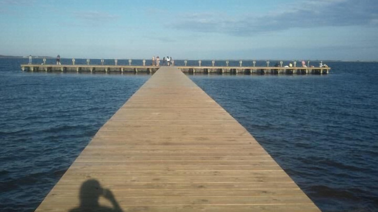 Photo of Others in Mastic Beach