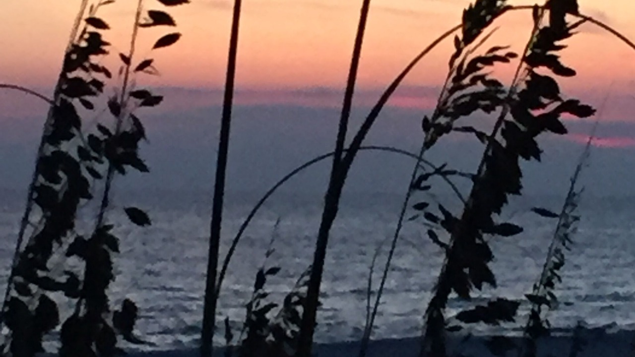 Photo of Others in Riviera Beach