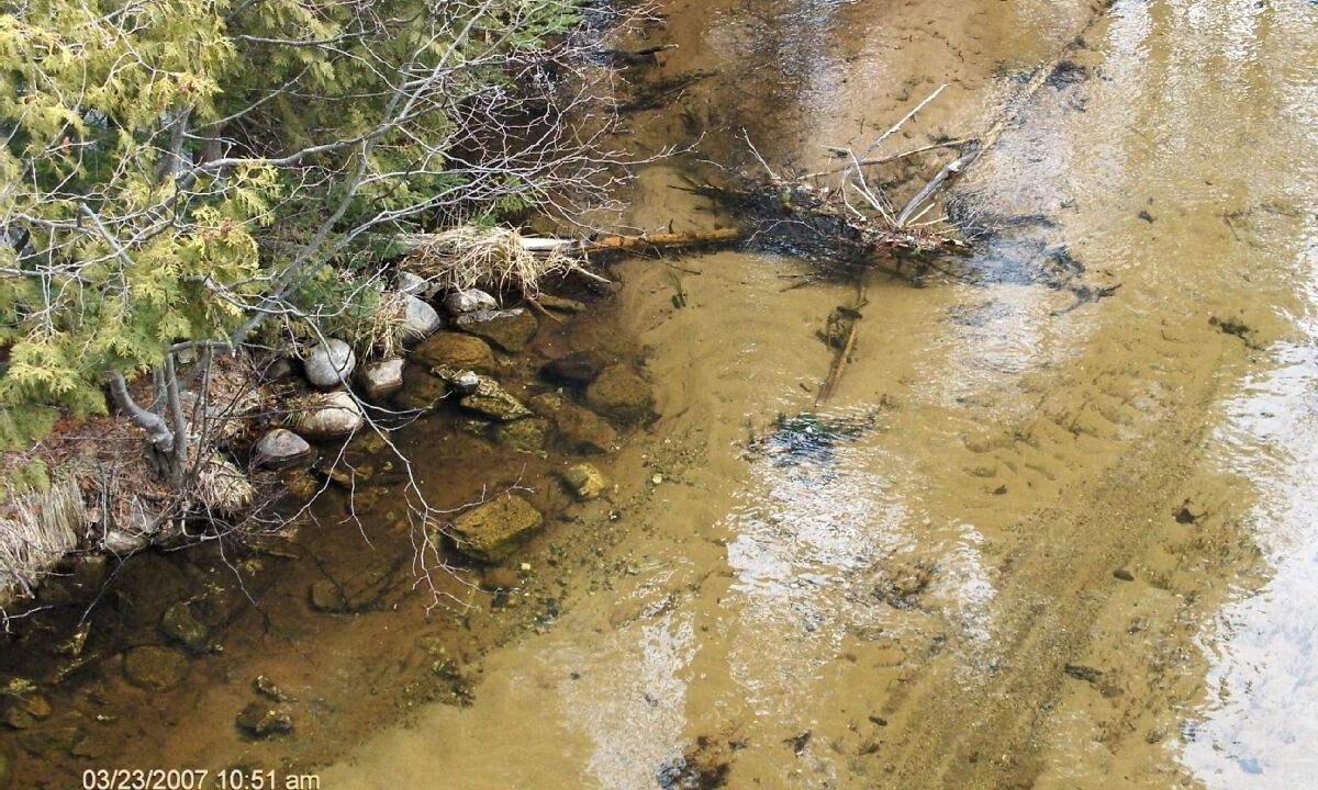 Photo of Others in Wetmore
