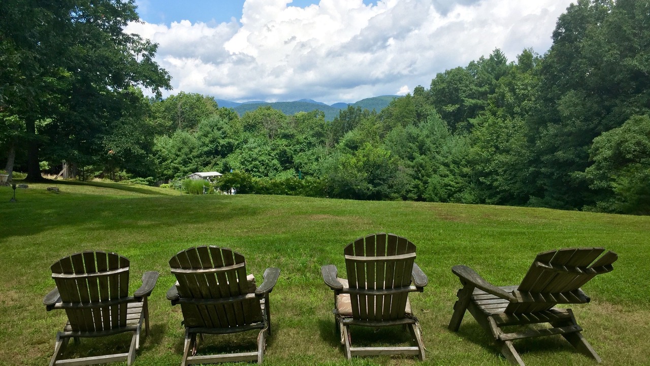 Photo of Others in Woodstock