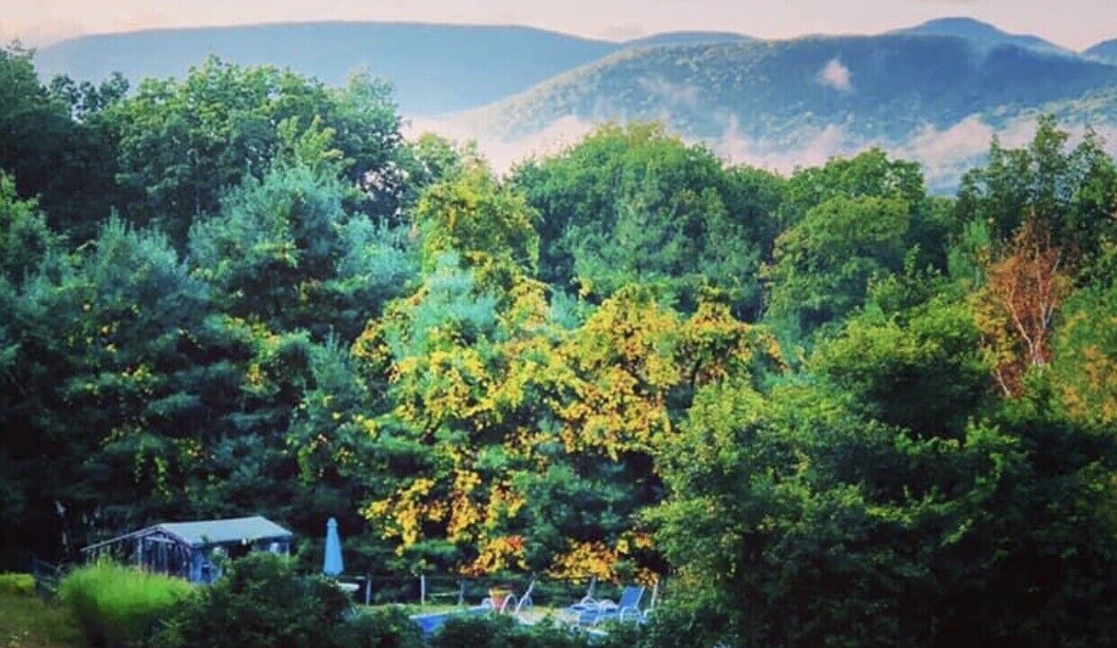 Photo of Others in Woodstock