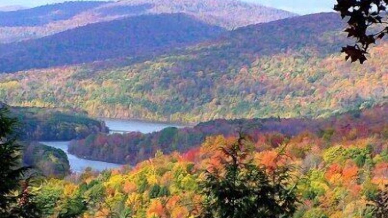 Photo of Outdoor in Woodstock