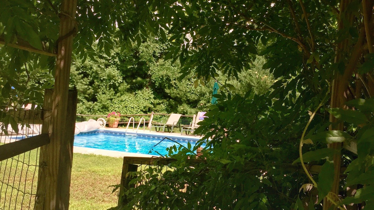 Photo of Outdoor in Woodstock