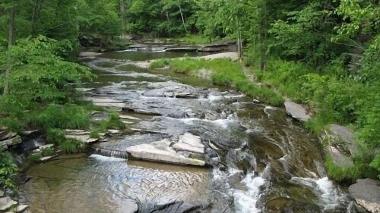 Photo of Outdoor in Woodstock