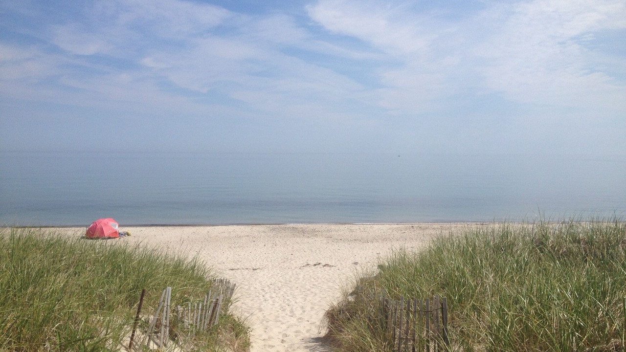 Photo of Others in East Sandwich
