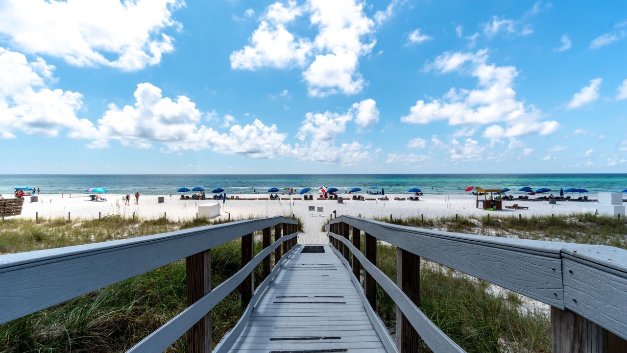 Photo of Others in Panama City Beach