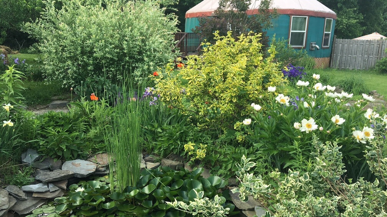 Photo of Outdoor in Newfield