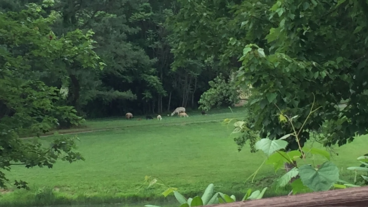 Photo of Others in Culpeper