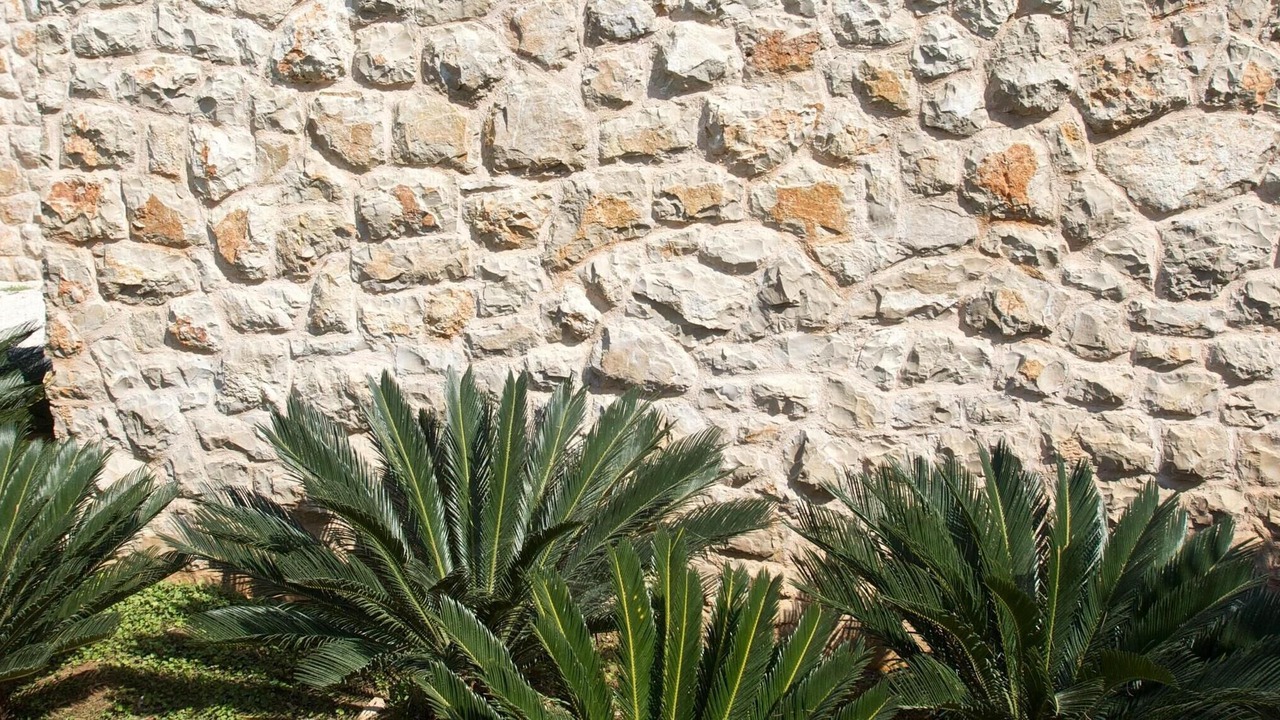 Photo of Outdoor in Milna (Brac)