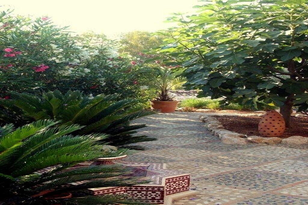 Photo of Outdoor in La Font d'en Carros