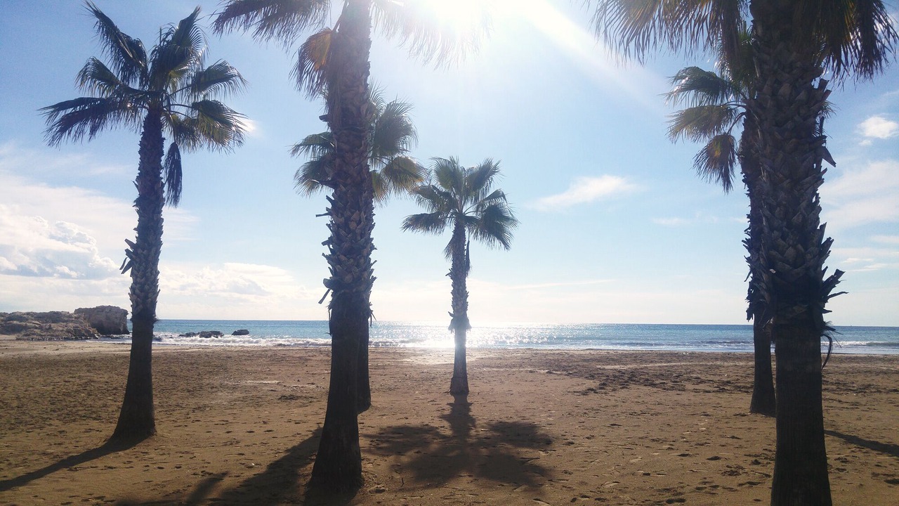 Photo of Others in Moraira Town Centre
