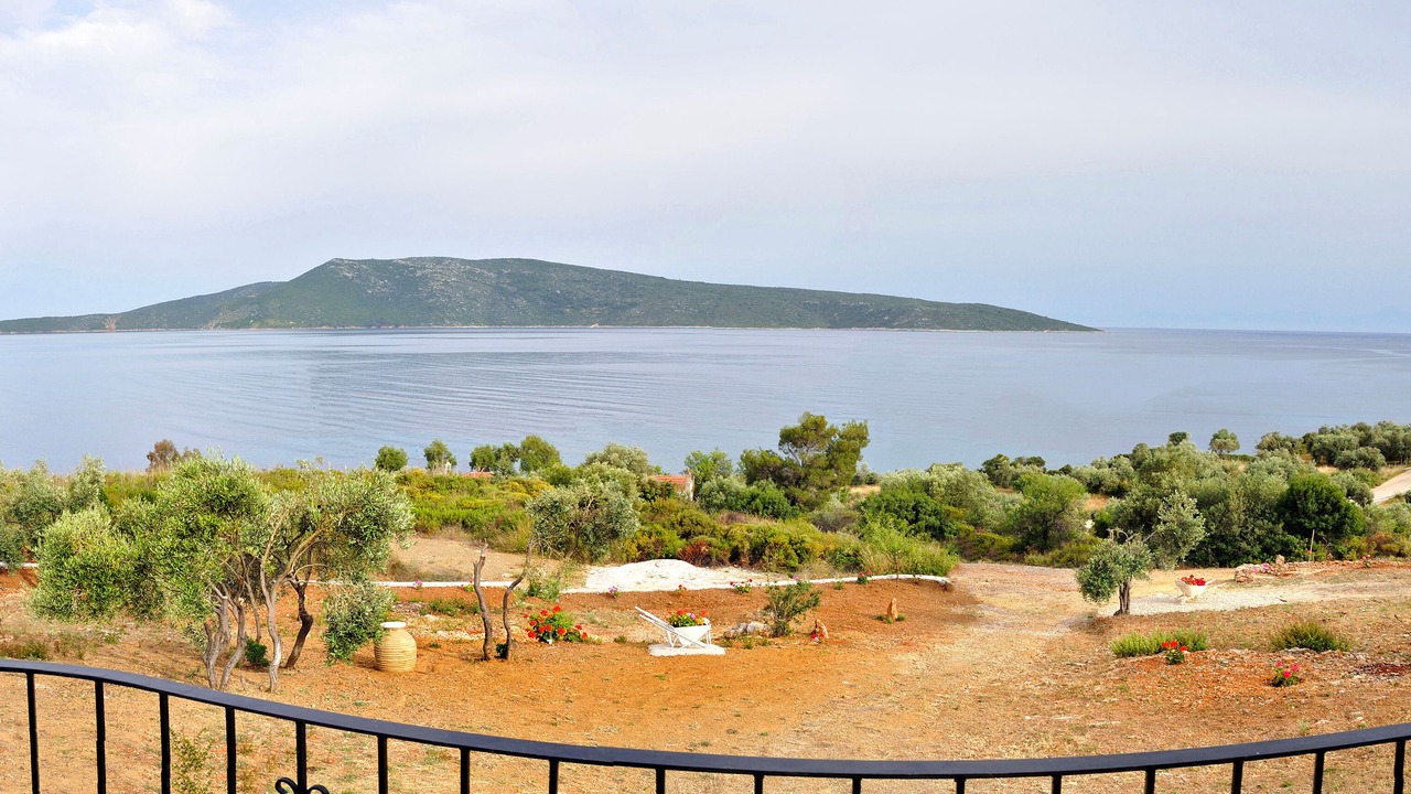 Photo of Others in Nimfea