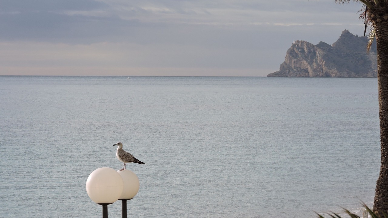 Photo of Others in Altea