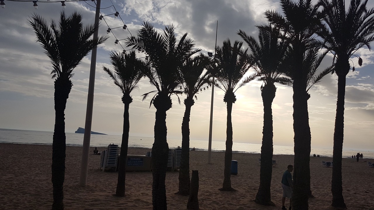 Photo of Others in Benidorm Centro