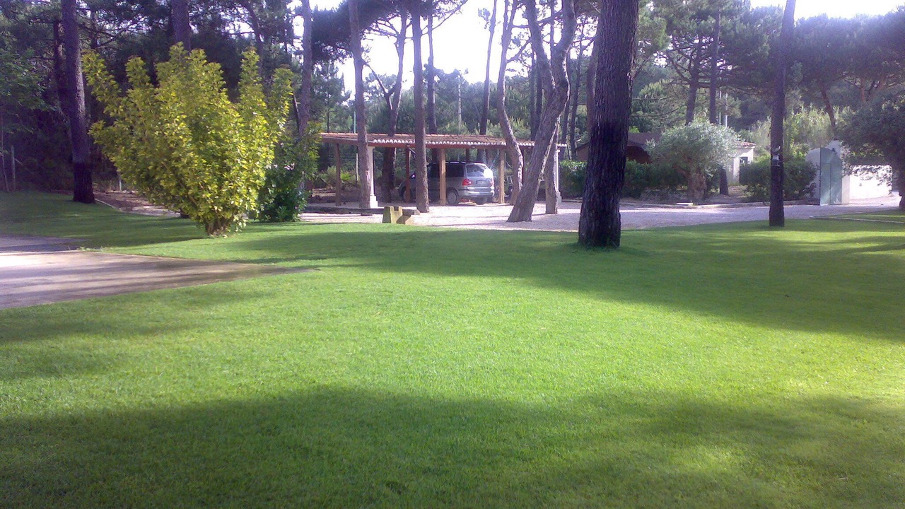 Photo of Outdoor in Azenhas do Mar