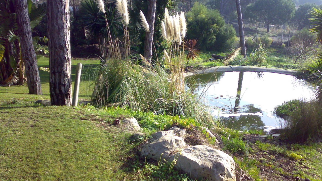 Photo of Outdoor in Azenhas do Mar