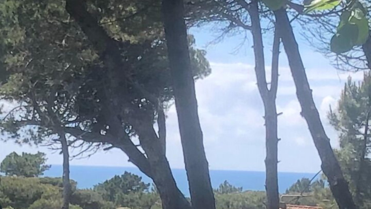 Photo of Others in Azenhas do Mar
