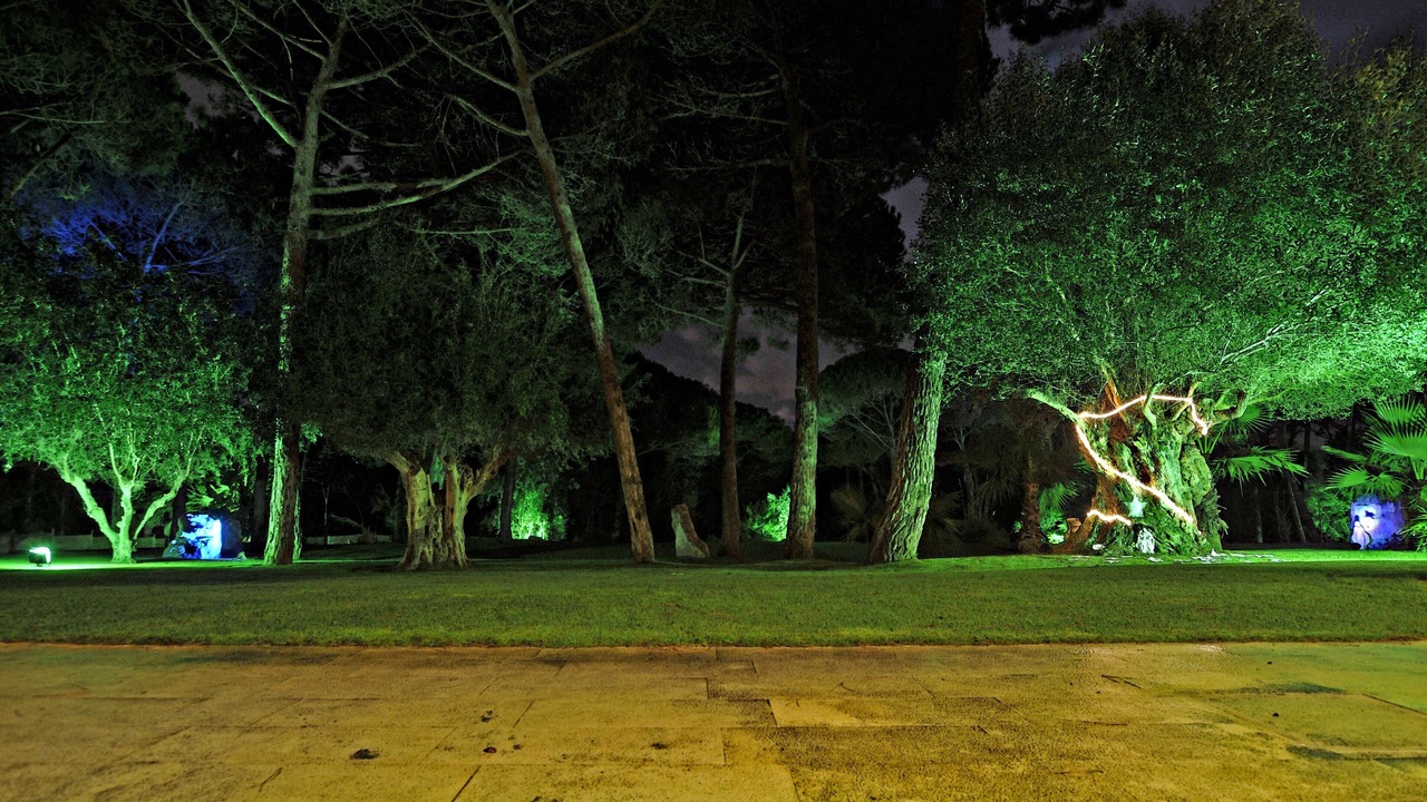Photo of Outdoor in Azenhas do Mar