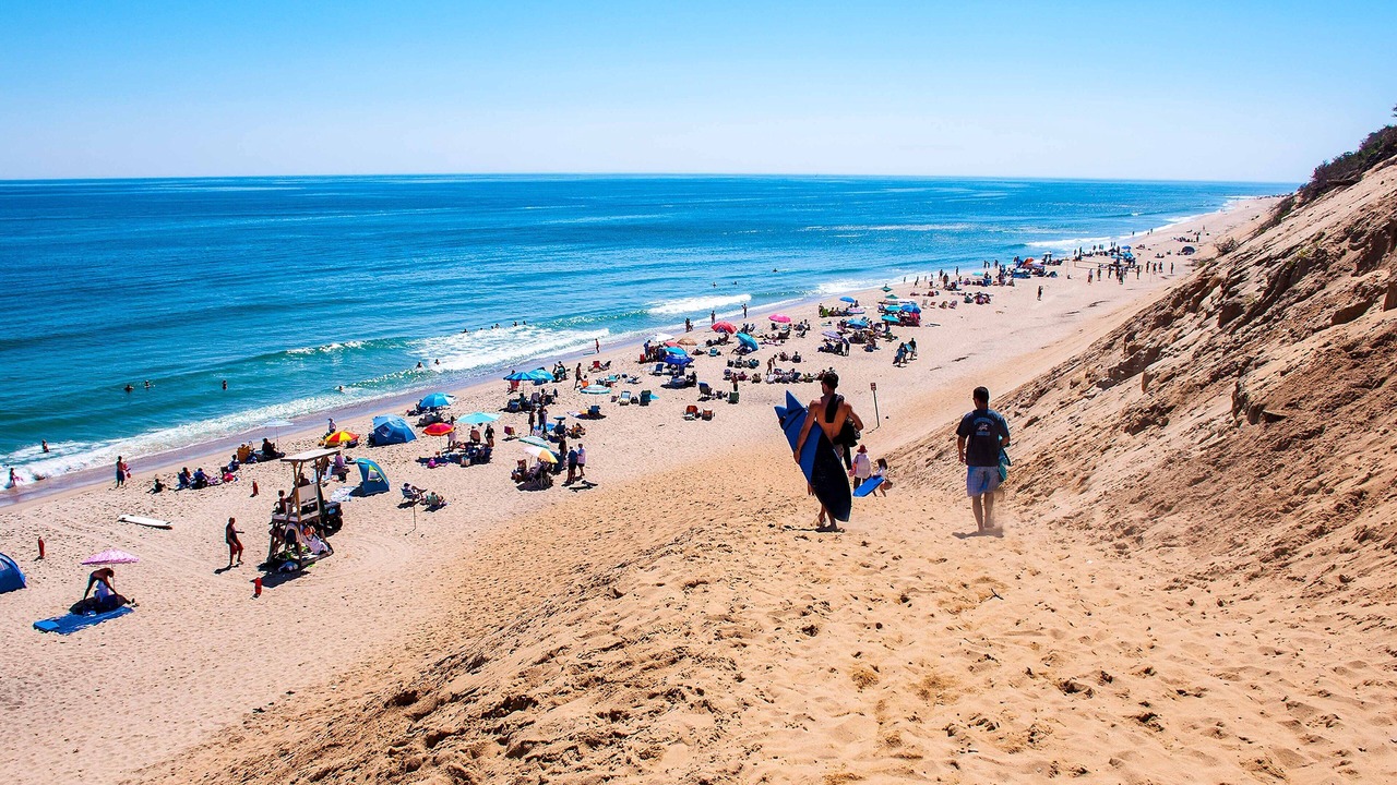 Photo of Others in South Wellfleet