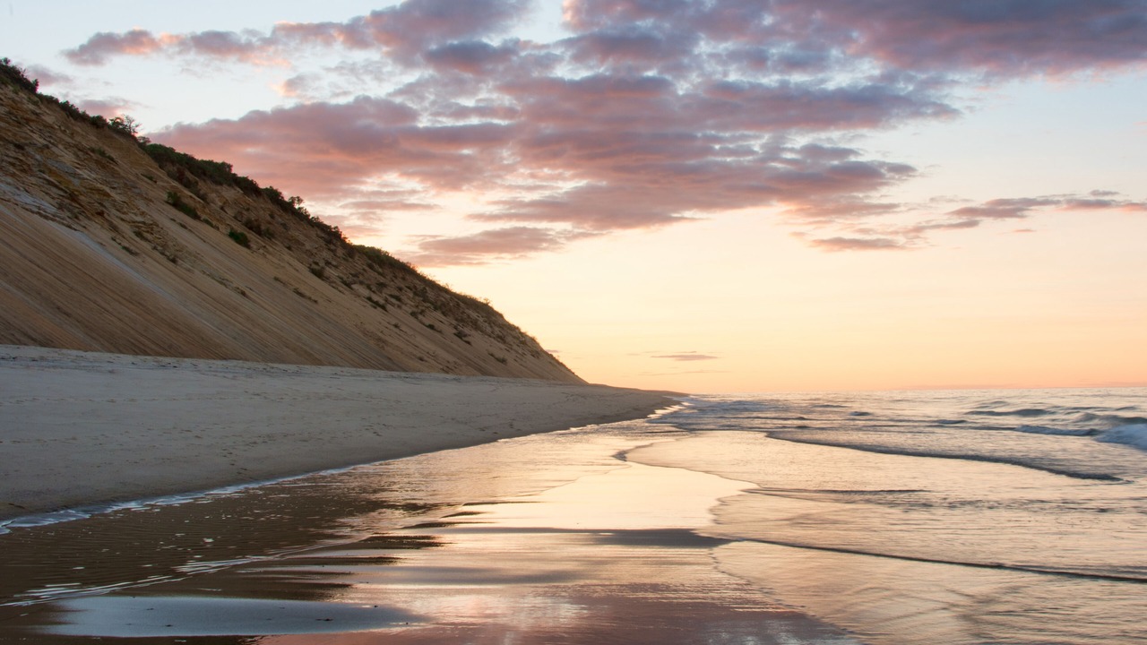 Photo of Others in South Wellfleet