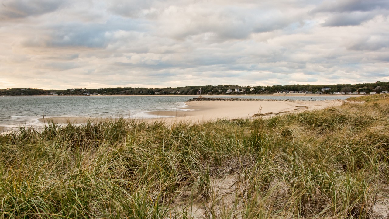 Photo of Others in South Wellfleet