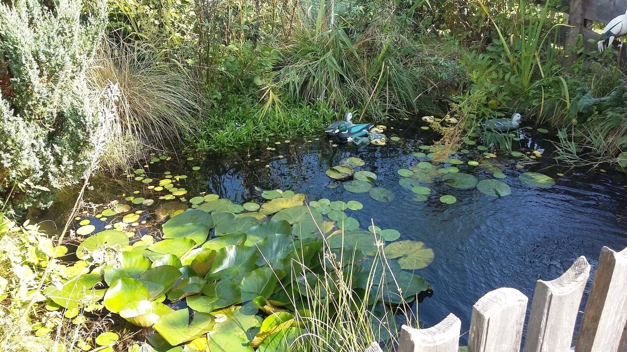 Photo of Outdoor in Einach