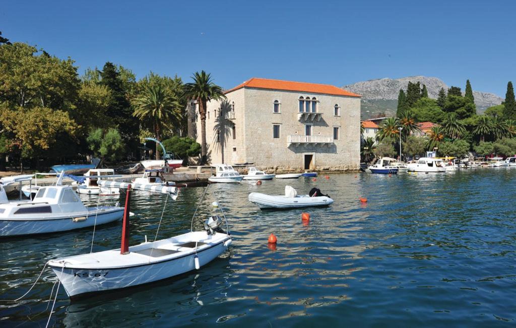 Photo of Others in Kastela