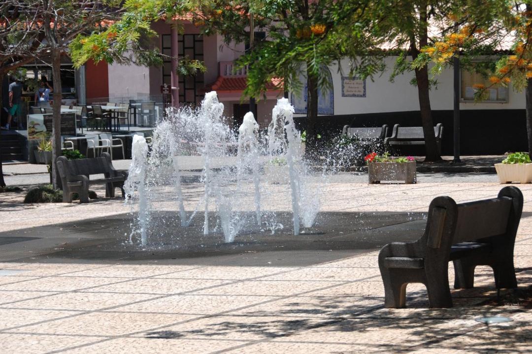 Photo of Others in Jardim do Mar