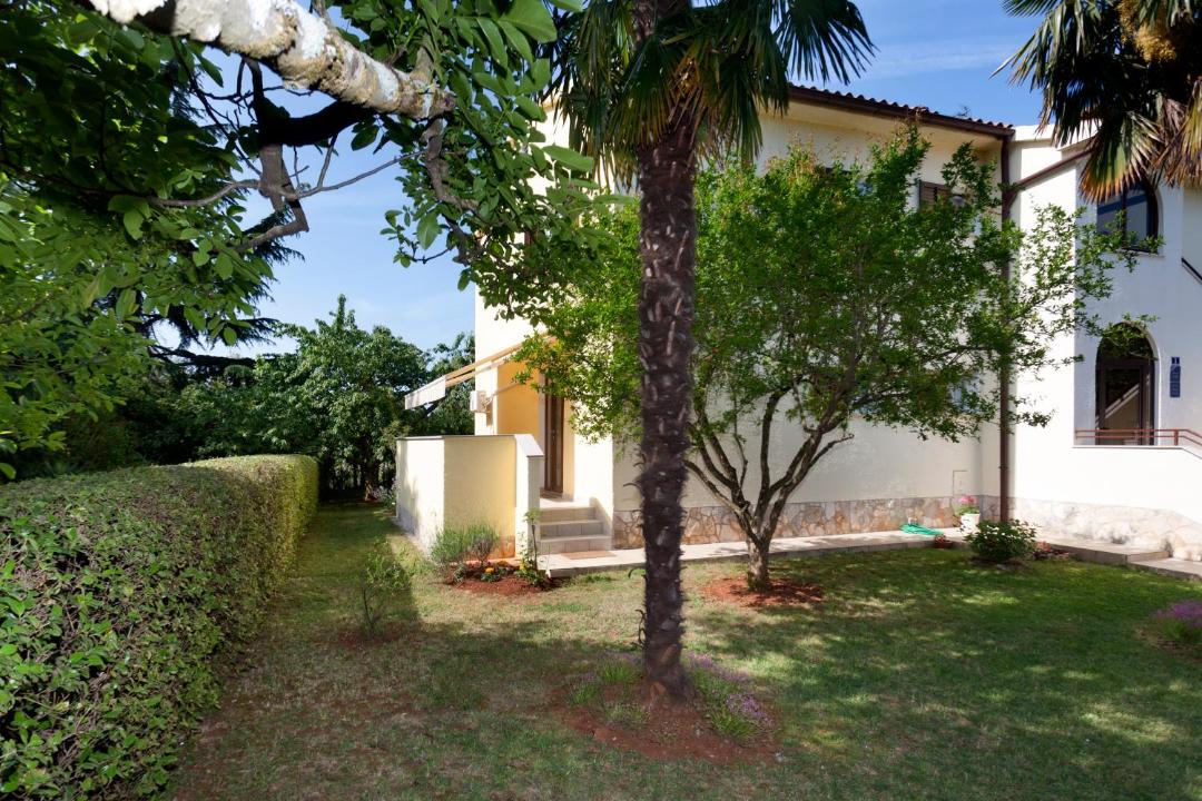 Photo of Buildings in Spadici
