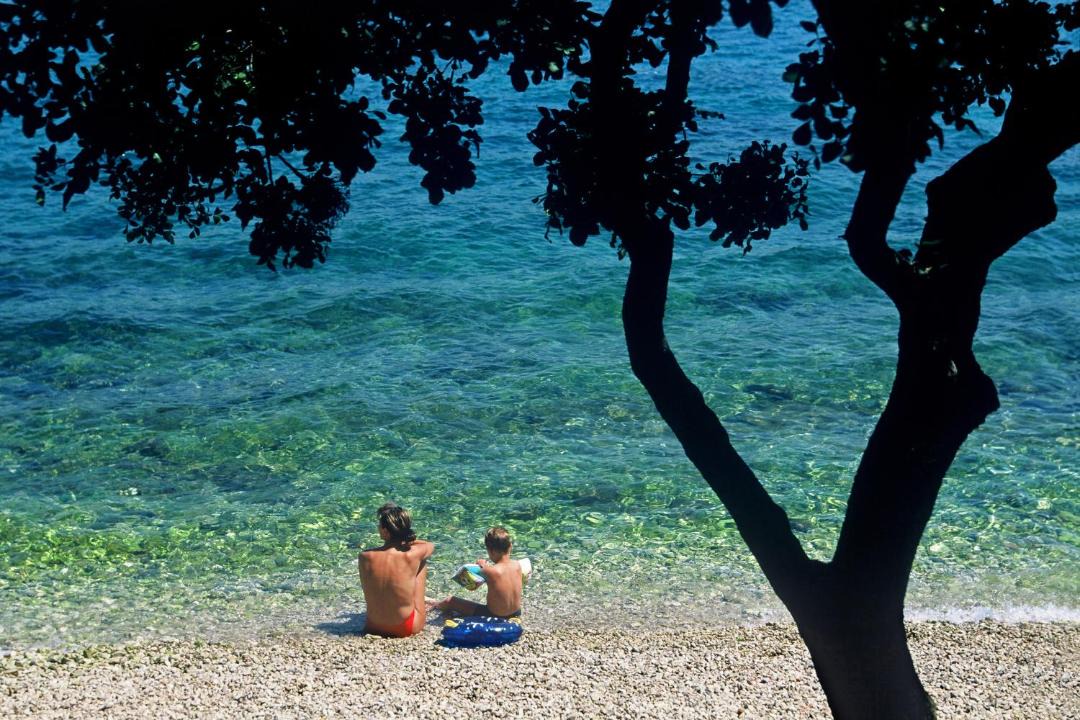 Photo of Others in Spadici