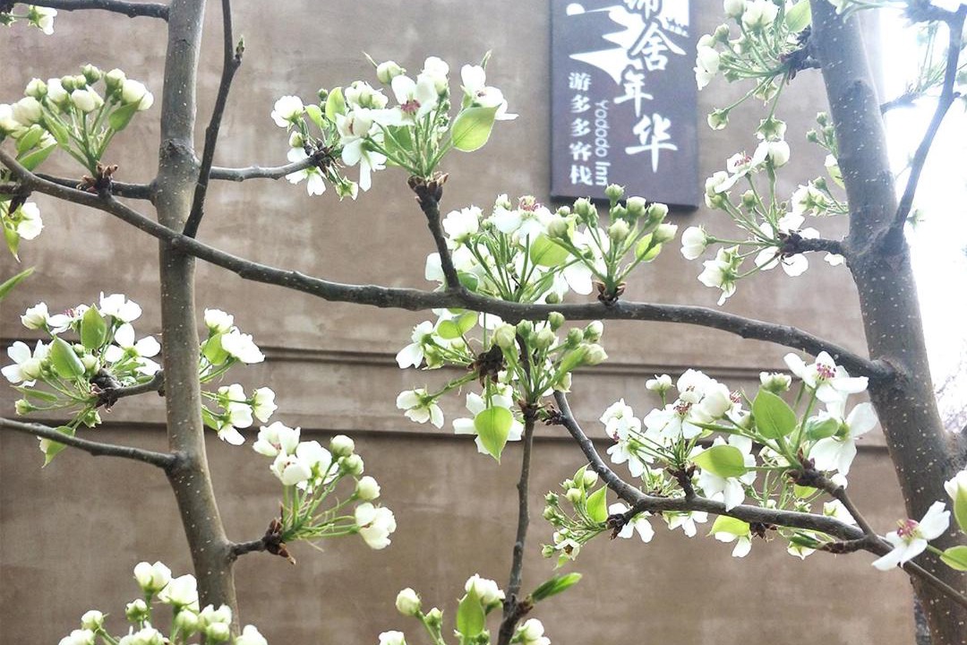 Photo of Others in Dunhuang