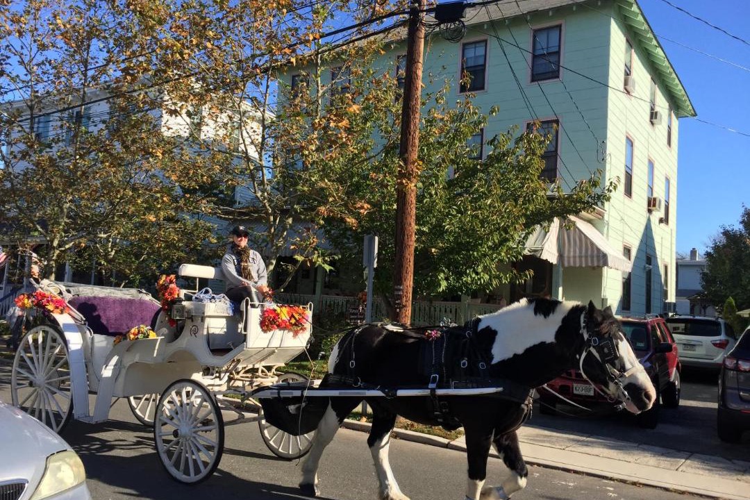 Photo of Others in Cape May