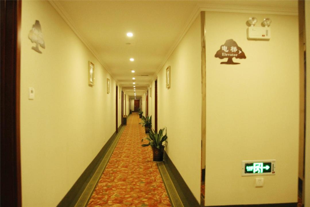 Photo of Others in Lin'an