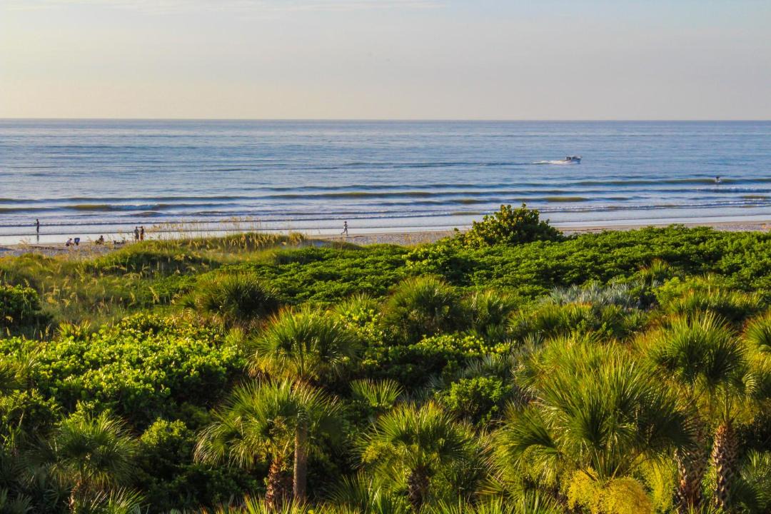 Photo of Others in Cocoa Beach