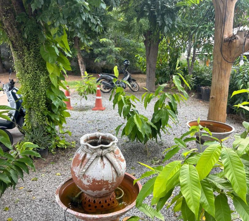 Photo of Others in Maha Sarakham