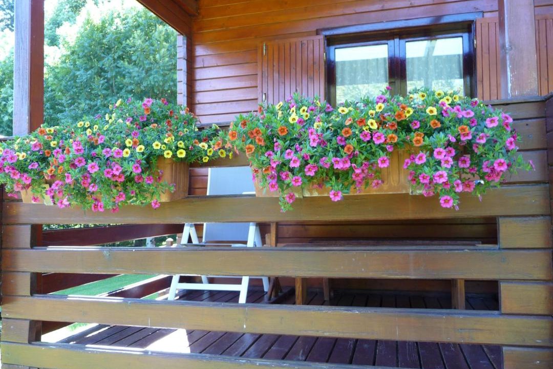 Photo of Patio Balcony in Ezkurra