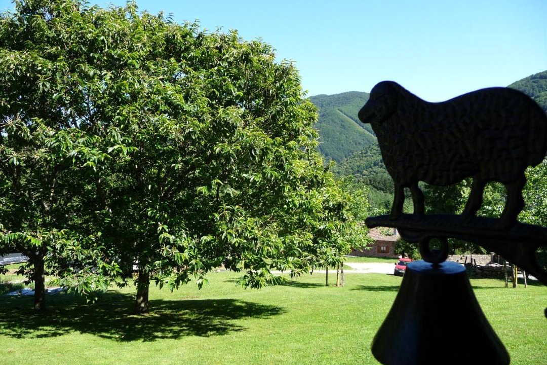 Photo of Outdoor in Ezkurra