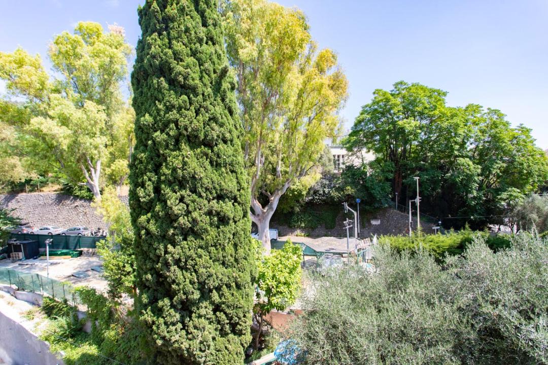 Photo of Others in Quartier du Port