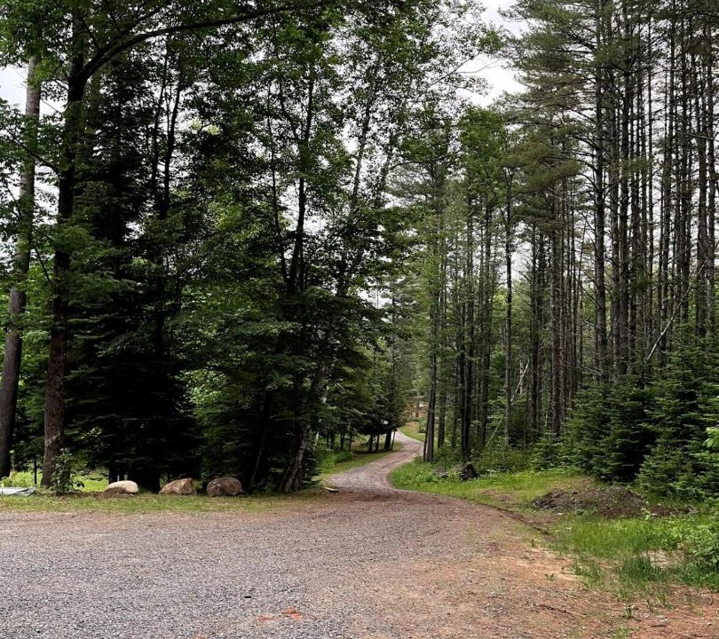 Photo of Others in North Creek