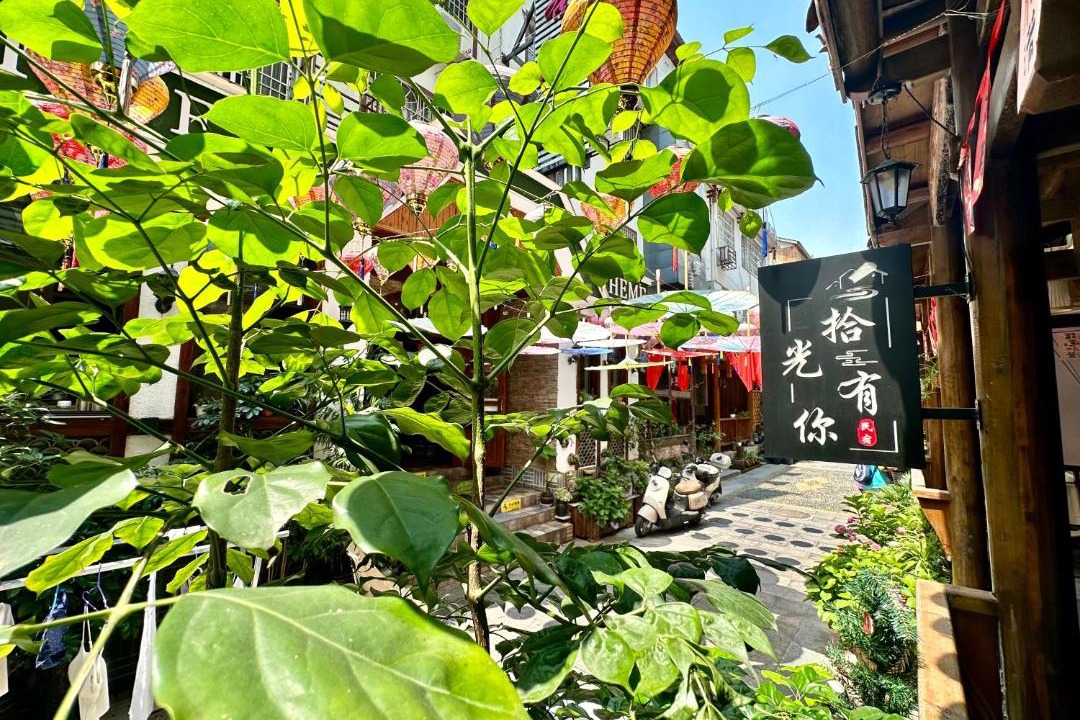Photo of Others in Yongding