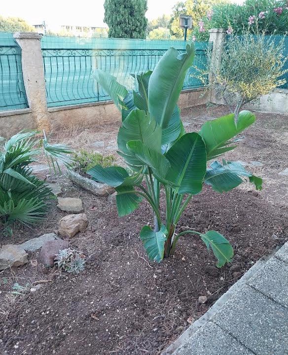 Photo of Outdoor in La Garde