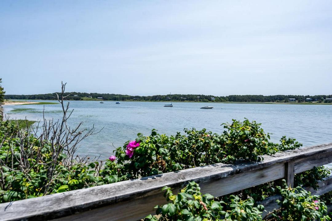 Photo of Others in Pleasant Point